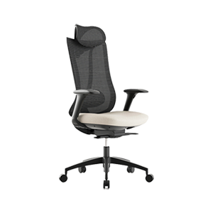Sedie ergonomiche
